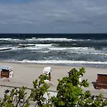Seestern