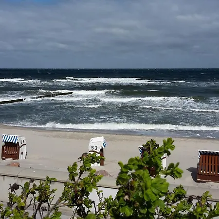 Seestern Kuehlungsborn