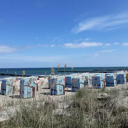 Seestern * Ostseebad Kühlungsborn