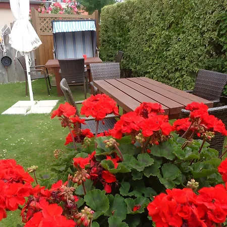 Apartment Seestern