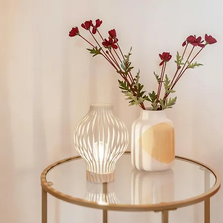 Seestern Ostseebad Kühlungsborn